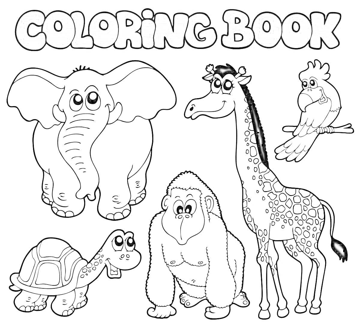 На раскраске изображено: Зоопарк, Слон, Черепаха, Горилла, Для детей, Животные, Жирафы, Попугаи