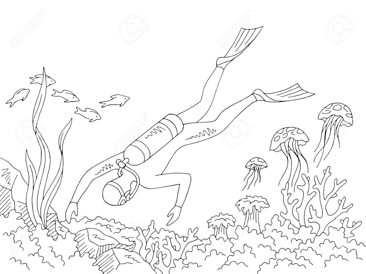 На раскраске изображено: Аквалангист, Подводное плавание, Кораллы, Морская жизнь, Водоросли, Подводный мир, Подводный пейзаж