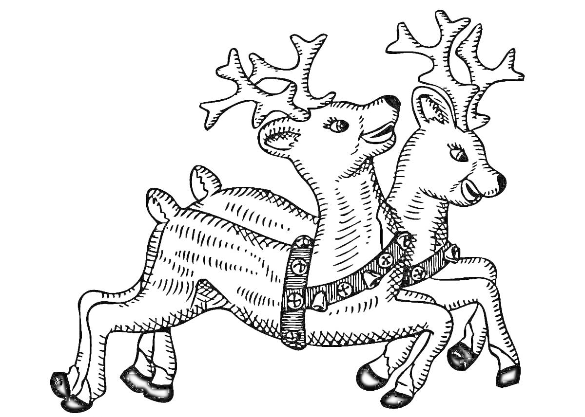 Раскраска Два новогодних оленя с рожками в упряжке