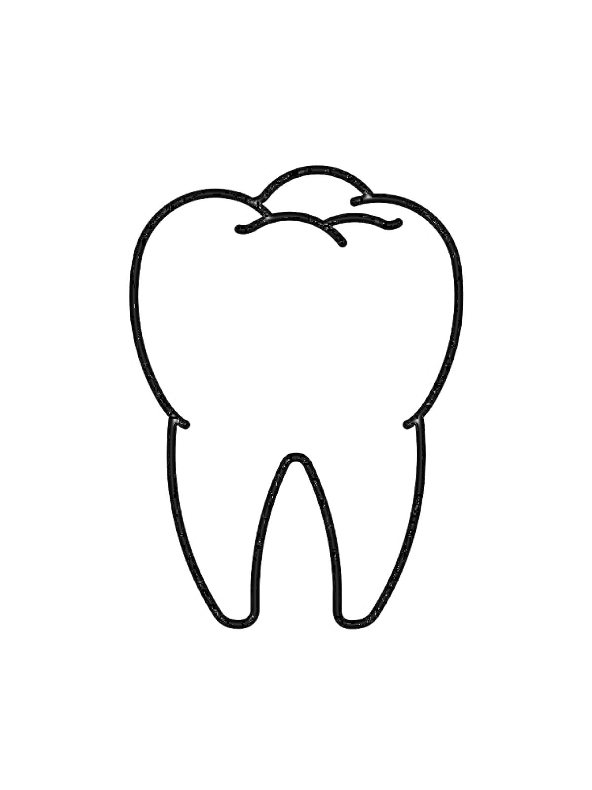 На раскраске изображено: Стоматология, Зубы, Здоровье, Анатомия, Контурные рисунки