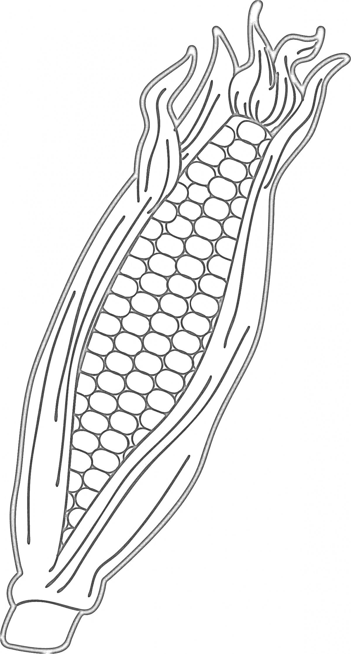 На раскраске изображено: Кукуруза, Початок, Листья, Еда, Для детей, Контурные рисунки