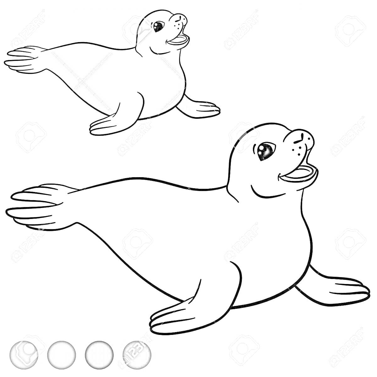 На раскраске изображено: Тюлень, Льдина, Животные, Палитра, Контурные рисунки