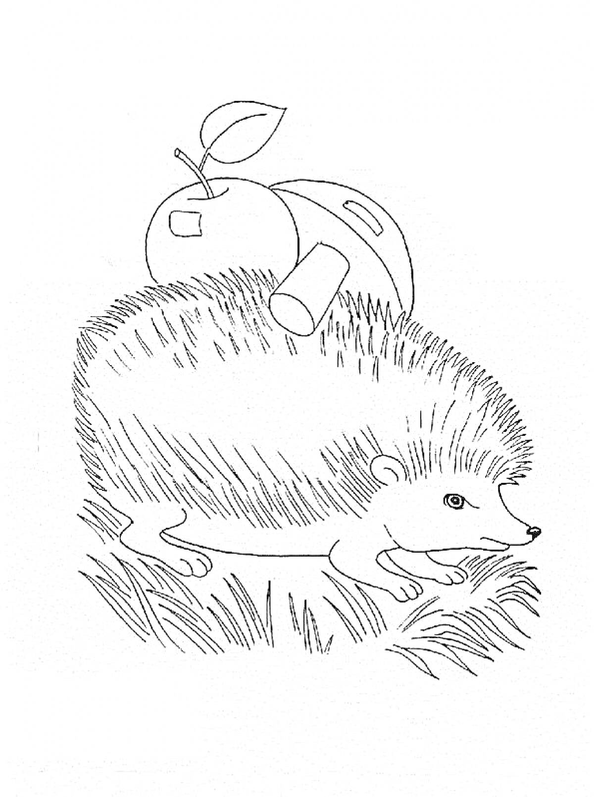 Раскраска Ежик с яблоком, грибом и палкой на спине на траве