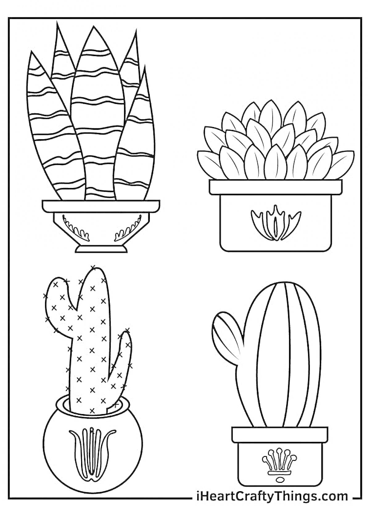 Раскраска с четырьмя видами комнатных растений в горшках (сансевиерия, суккуленты, кактус с ответвлением, шаровидный кактус)