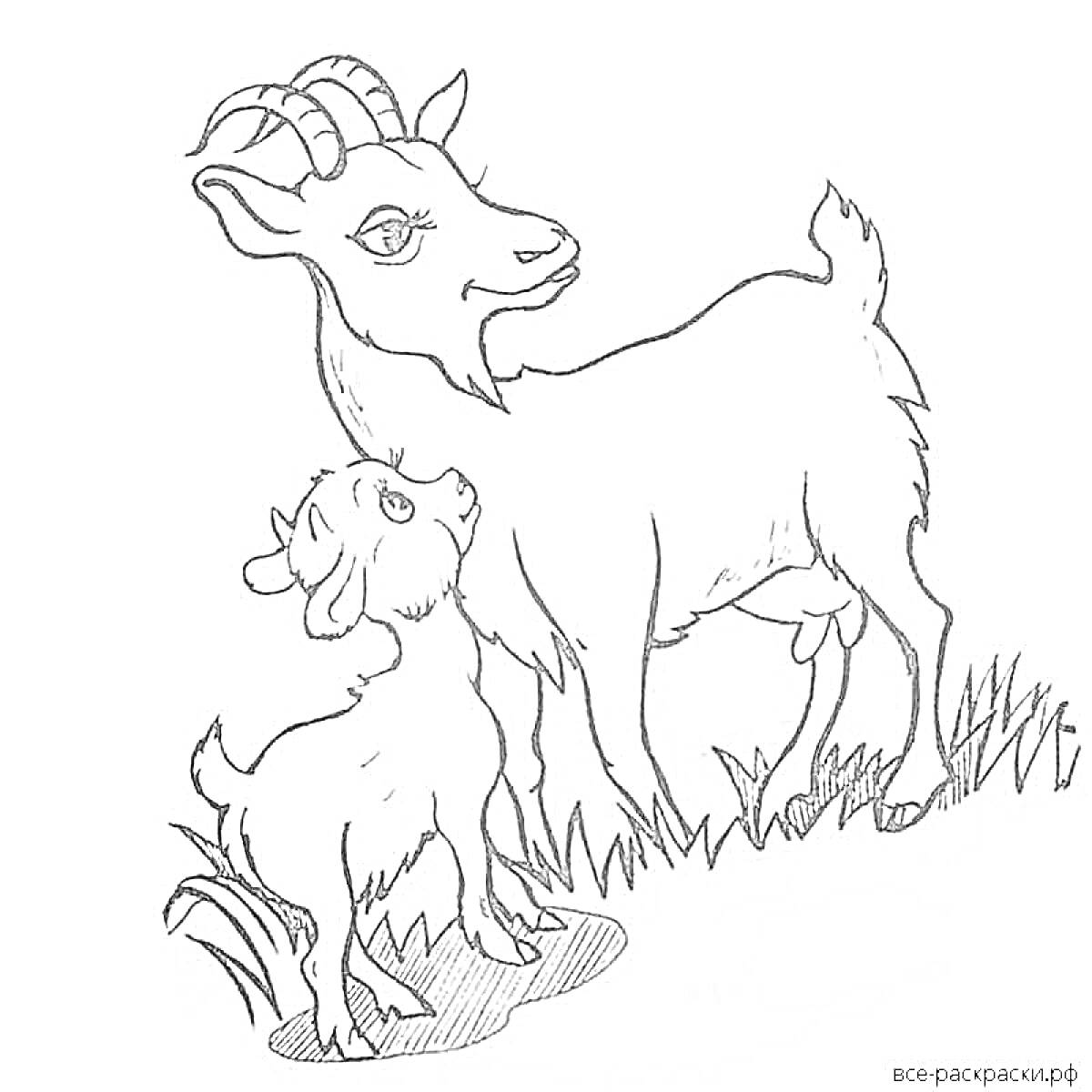 На раскраске изображено: Козел, Трава, Животные, Домашние животные, Контурные рисунки