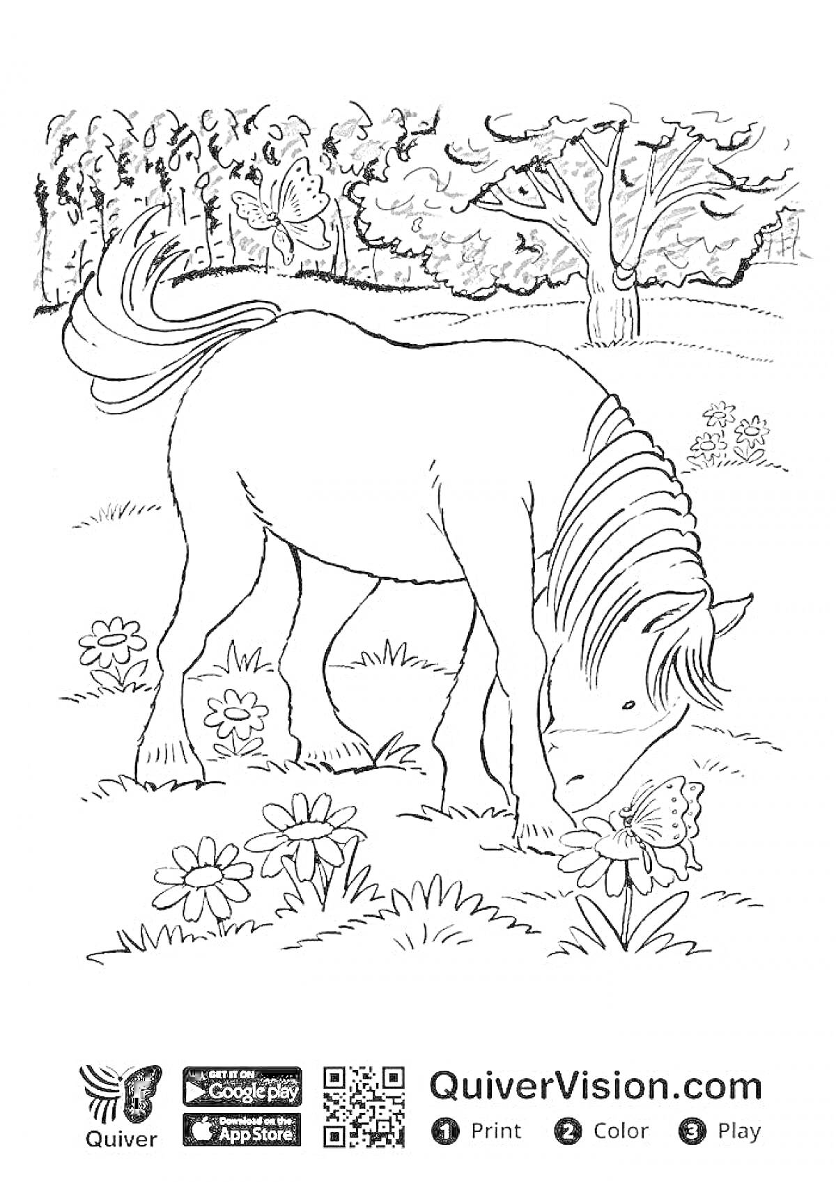 На раскраске изображено: Пони, Луг, Цветы, Бабочка, Природа, Трава, Деревья