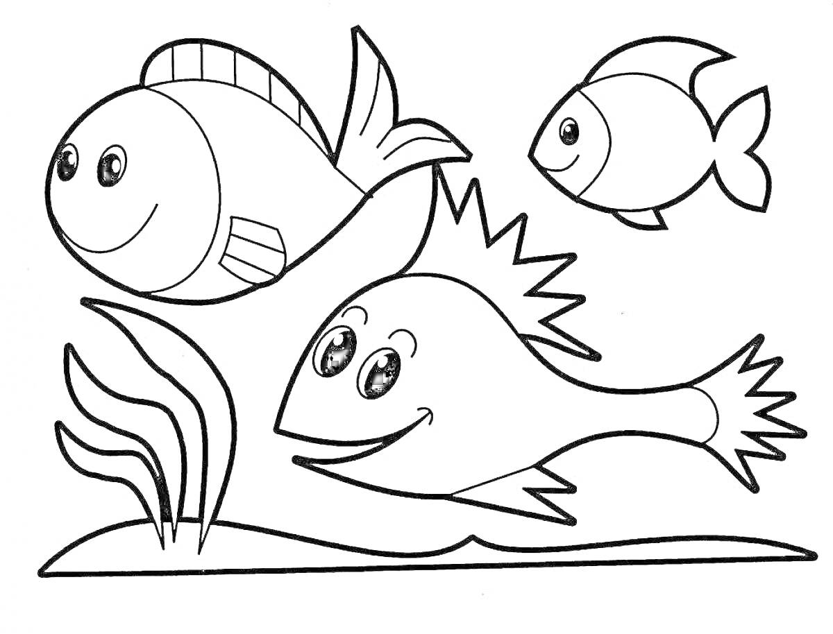 Раскраска Три рыбы и водоросли