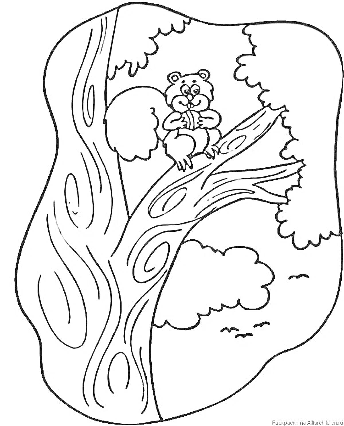 Раскраска Дерево с дуплом и мишкой, сидящим на ветке, на фоне облаков