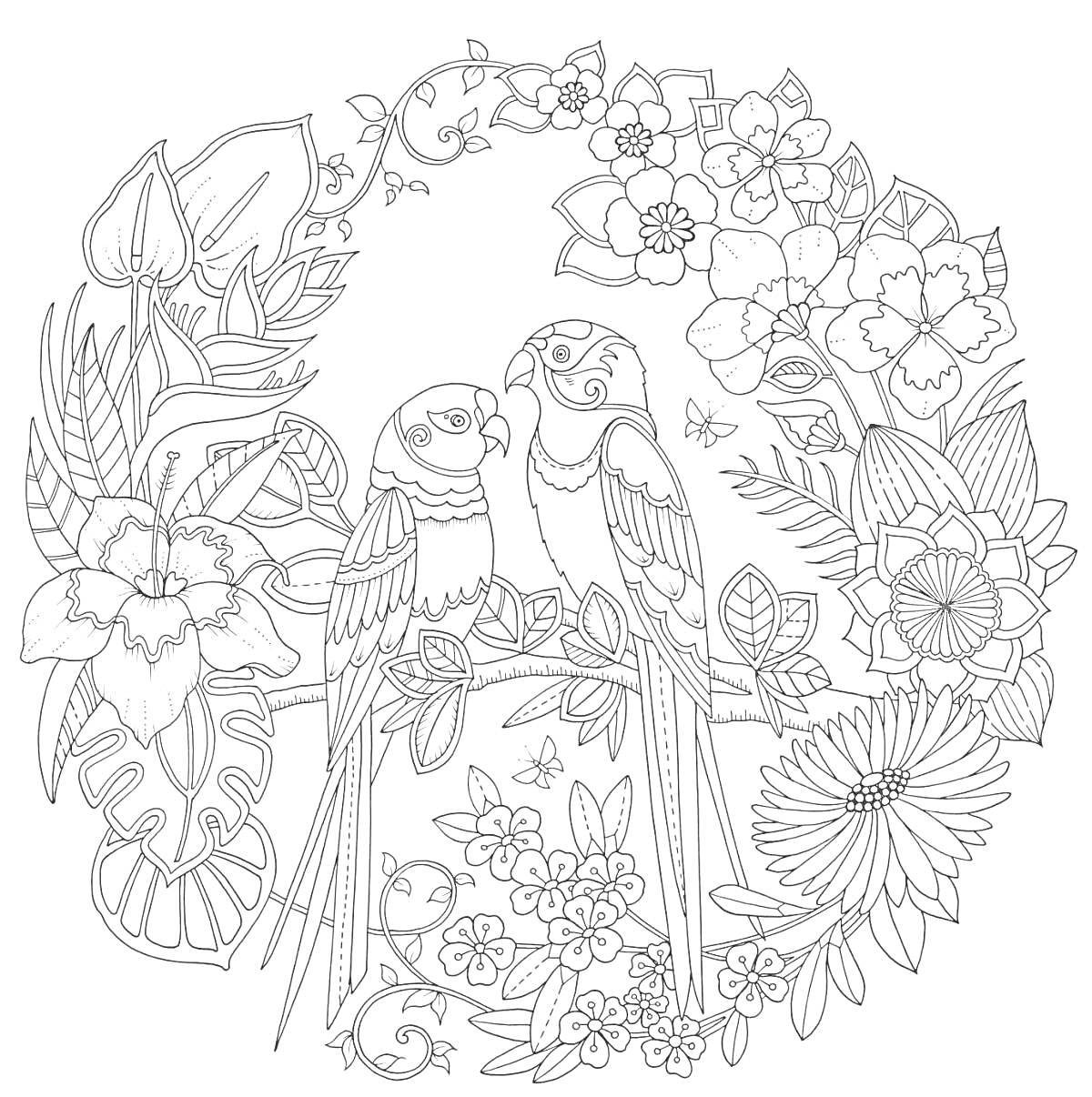На раскраске изображено: Попугаи, Тропические цветы, Круглый узор, Природа, Джунгли, Ботаническая иллюстрация, Орхидея, Листья, Цветы