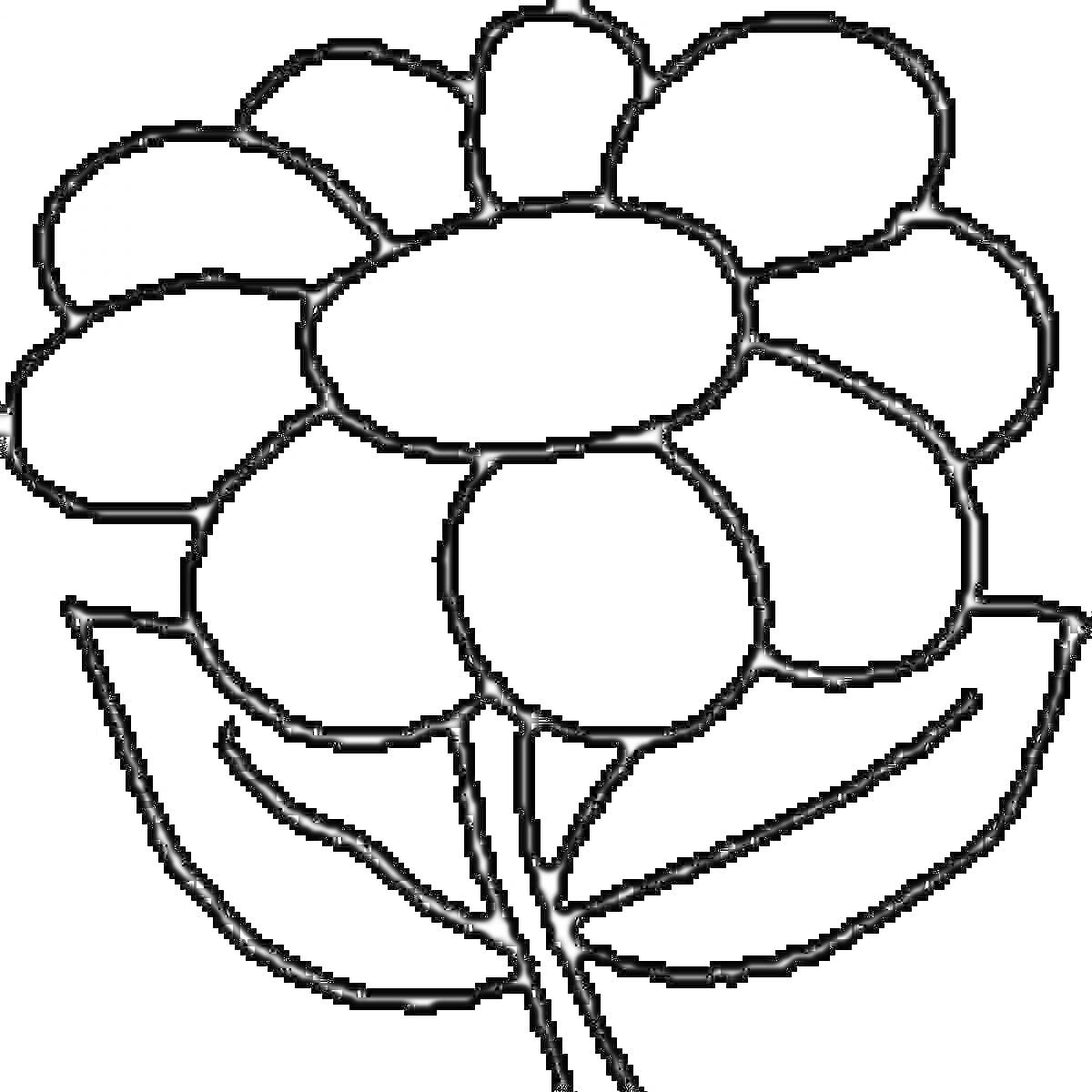 Раскраска цветок с семью лепестками и двумя листьями на стебле