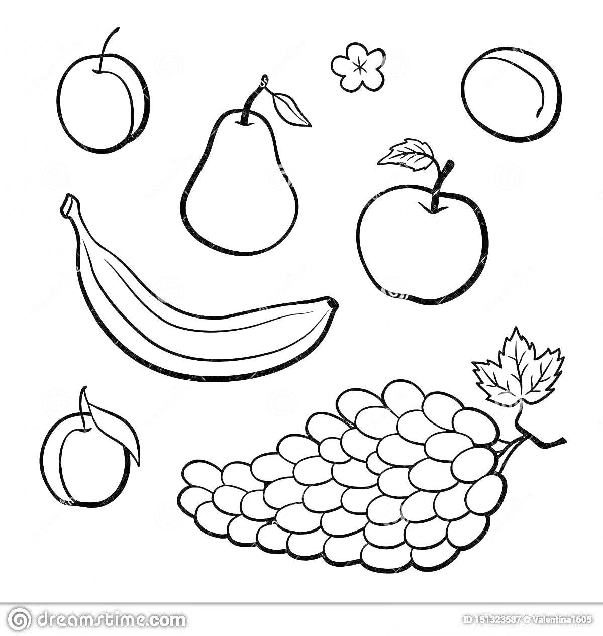На раскраске изображено: Банан, Яблоко, Виноград, Слива, Фрукты
