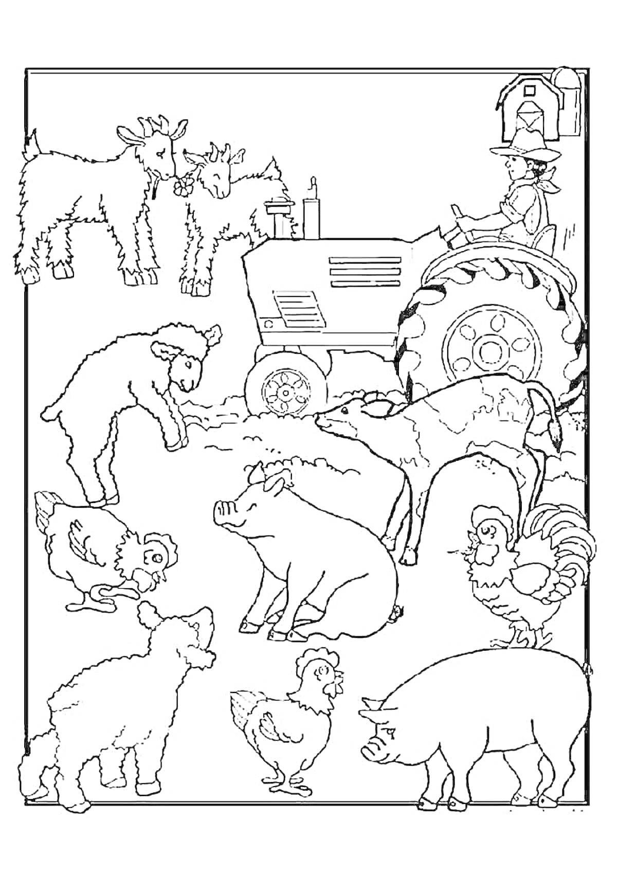 На раскраске изображено: Козы, Свиньи, Поросята, Цыплята, Петух, Корова, Фермер, Трактор, Домашние животные, Сельское хозяйство, Ферма