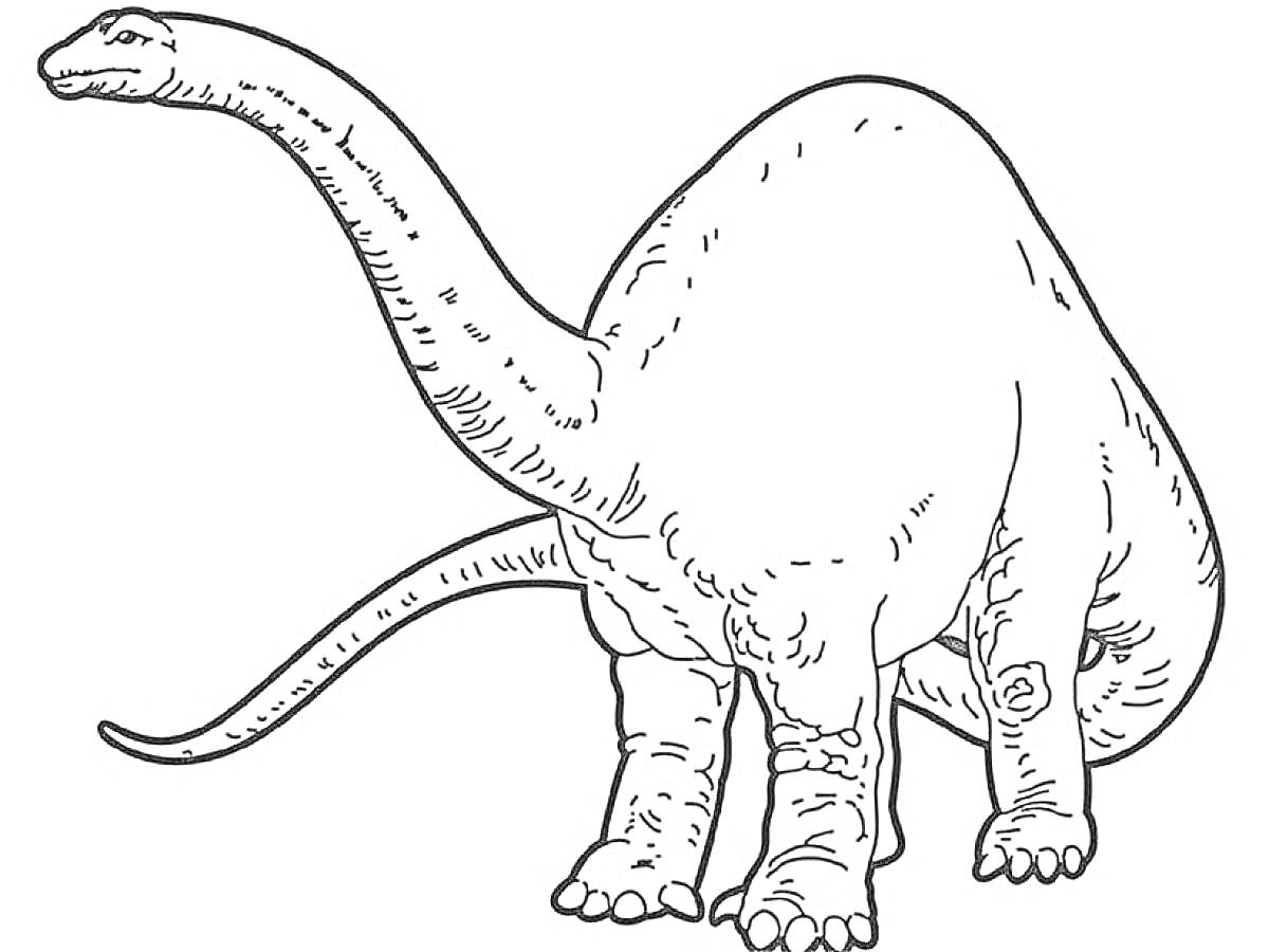 На раскраске изображено: Динозавр, Длинная шея, Длинный хвост, Животные, Для детей, Доисторическая эпоха, Контурные рисунки