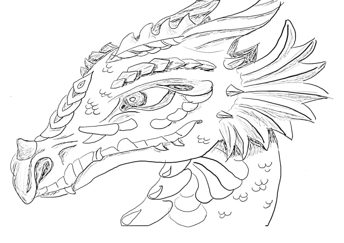 Раскраска Голова дракона с чешуёй, гребнями и сложными узорами