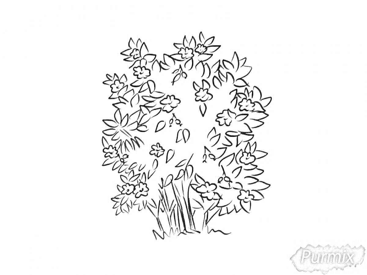 Раскраска Кустарник с цветами и листьями