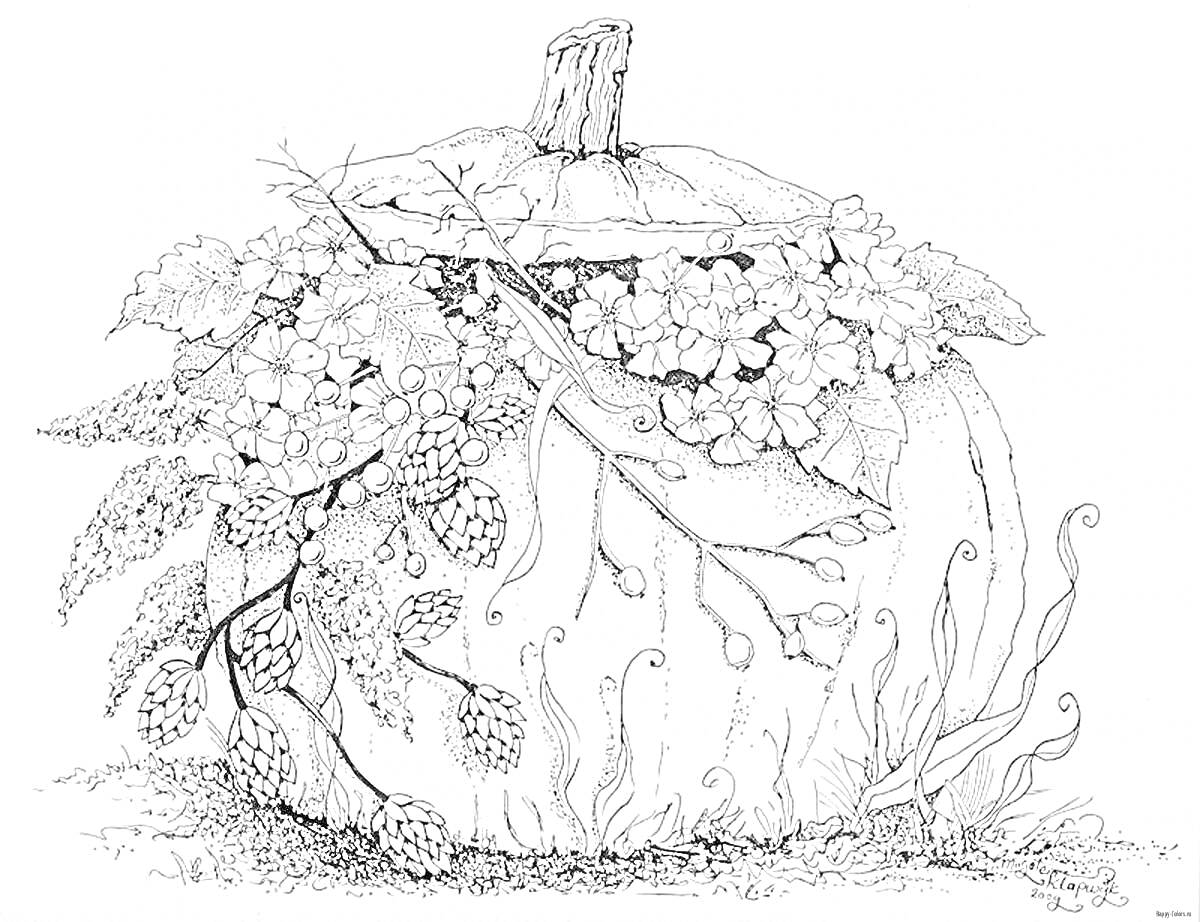 Раскраска Тыква с цветами, ветками и листвой