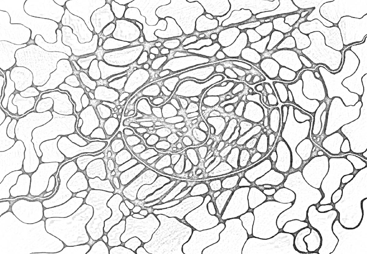 Раскраска Нейрографика абстракция с кривыми линиями и замкнутыми контурами