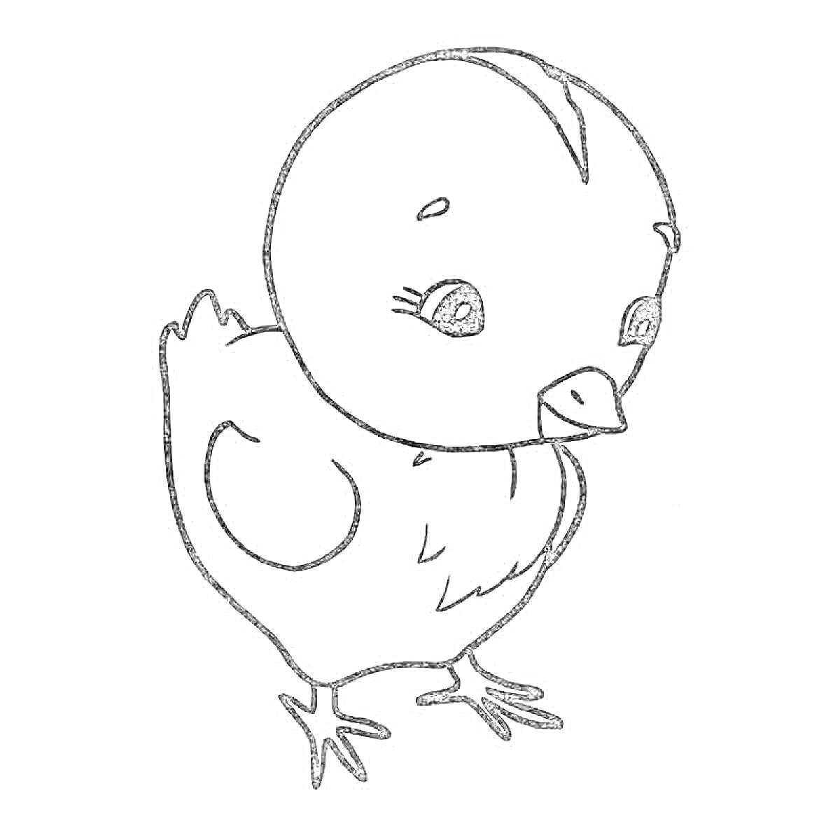 Раскраска Цыпленок с большими глазами и крошечными крылышками, стоит на лапках