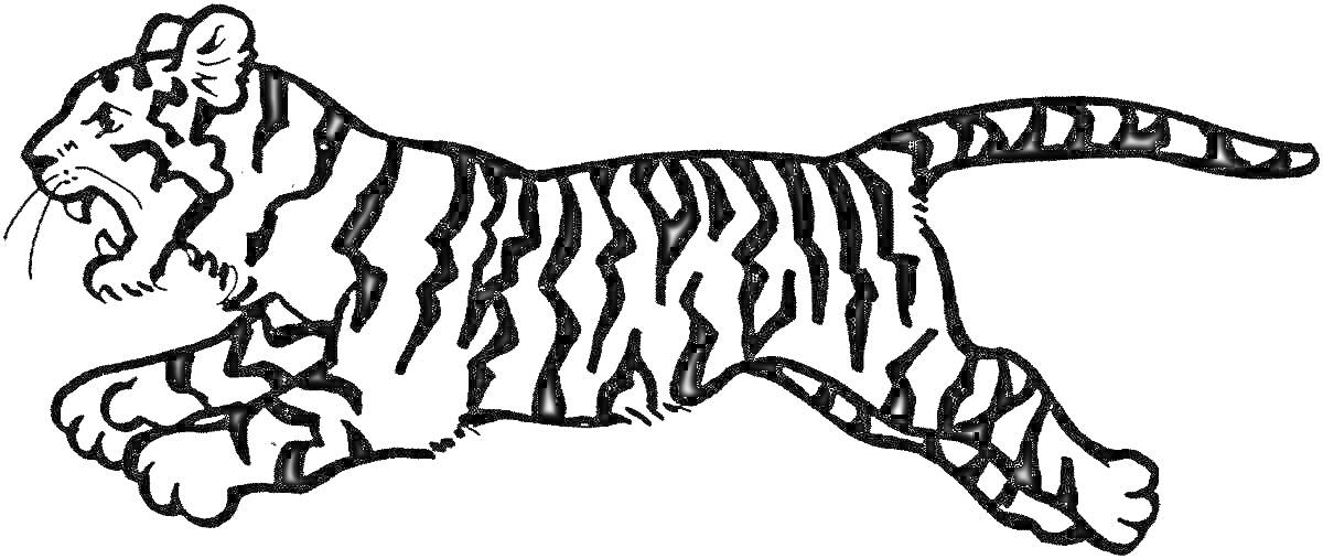 Раскраска Изображение прыгающего тигра с полосатым рисунком