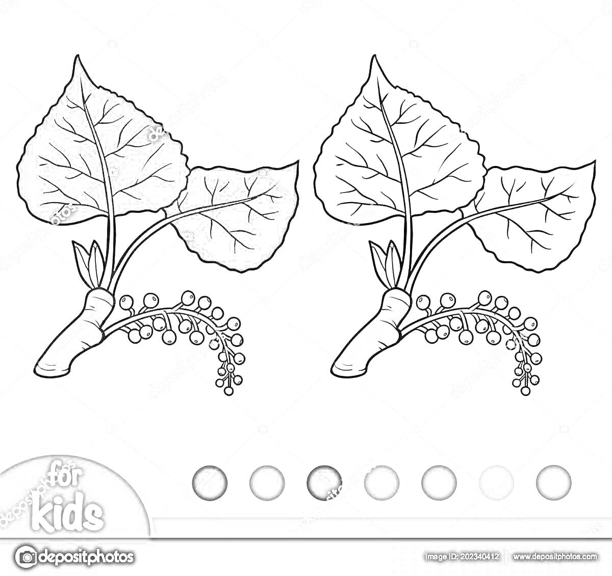 Раскраска Листья и серёжка тополя