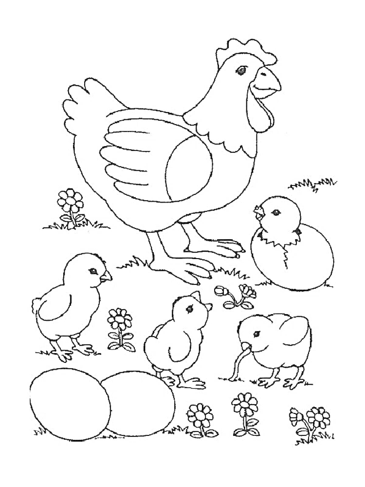 На раскраске изображено: Цыплята, Яйца, Цветы, Природа, Для детей, Домашние птицы, Курицы, Луг
