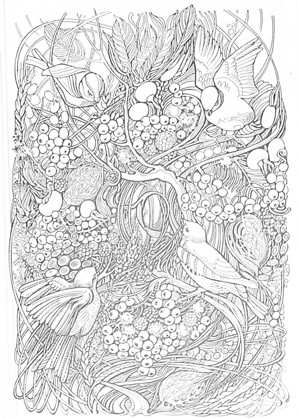 На раскраске изображено: Листья, Плоды, Ягоды, Природа, Ботаника, Птица, Ветка, Сцены