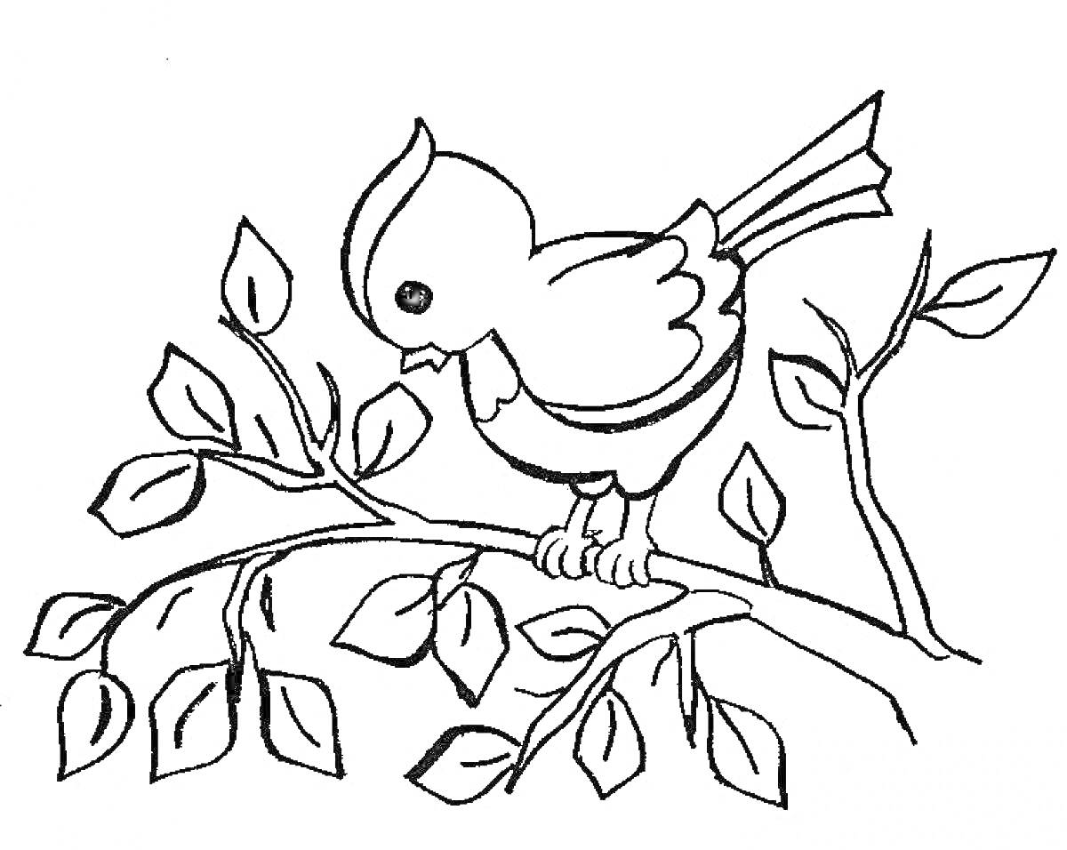 Птичка на ветке с листьями