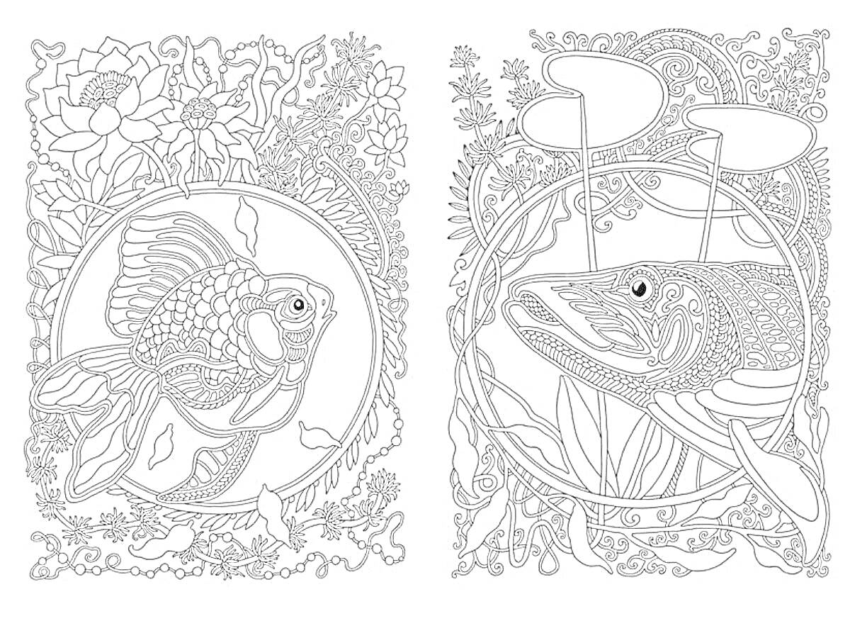 На раскраске изображено: Рыба, Цветы, Узоры, Круги, Водные растения, Подводный мир