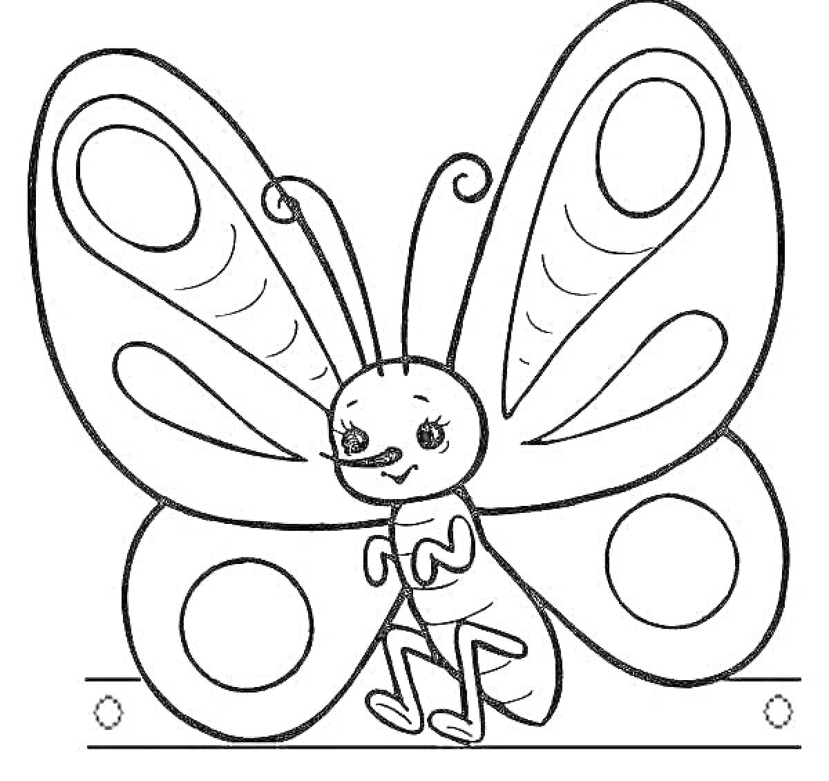 Раскраска Бабочка с большими крыльями, сидящая на планке, с декоративными кругами и узорами на крыльях