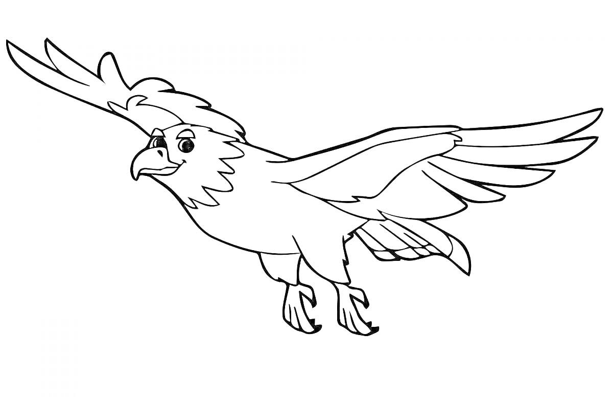 На раскраске изображено: Птица, Крылья, Для детей, Контурные рисунки, Летающая