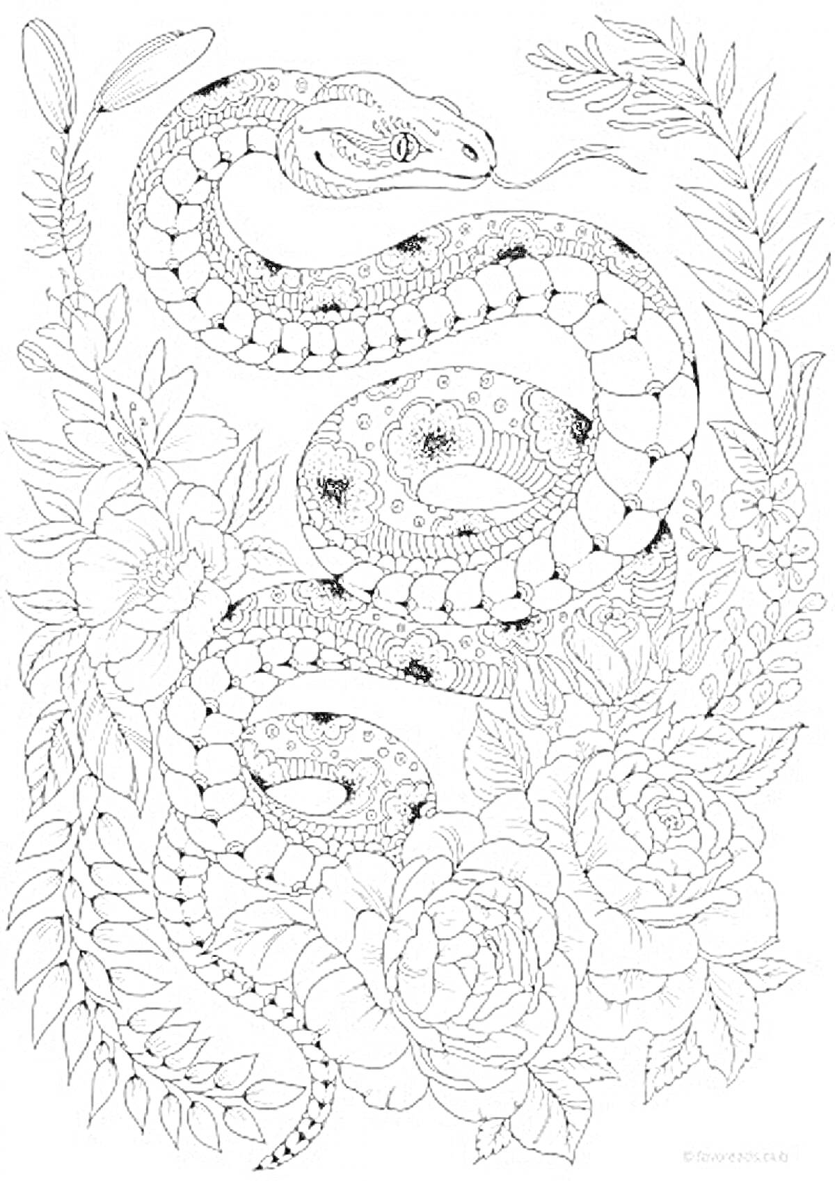 На раскраске изображено: Цветы, Растения, Антистресс, Природа, Узоры, Спокойствие