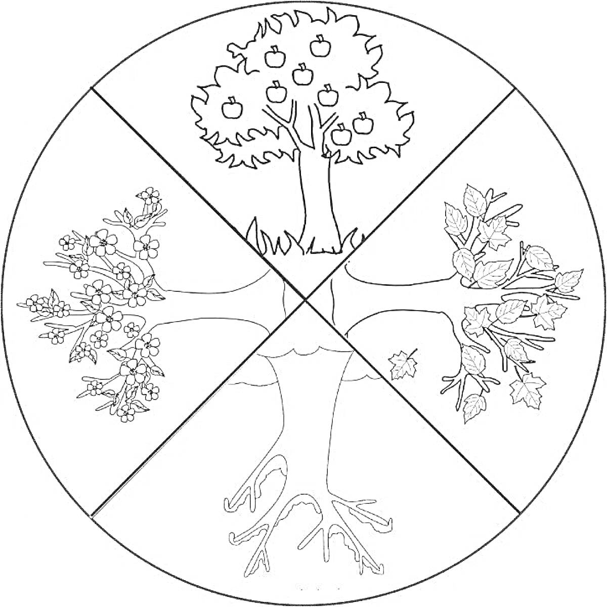На раскраске изображено: Времена года, Весна, Лето, Осень, Зима, Цветы, Листья, Фрукты, Природа