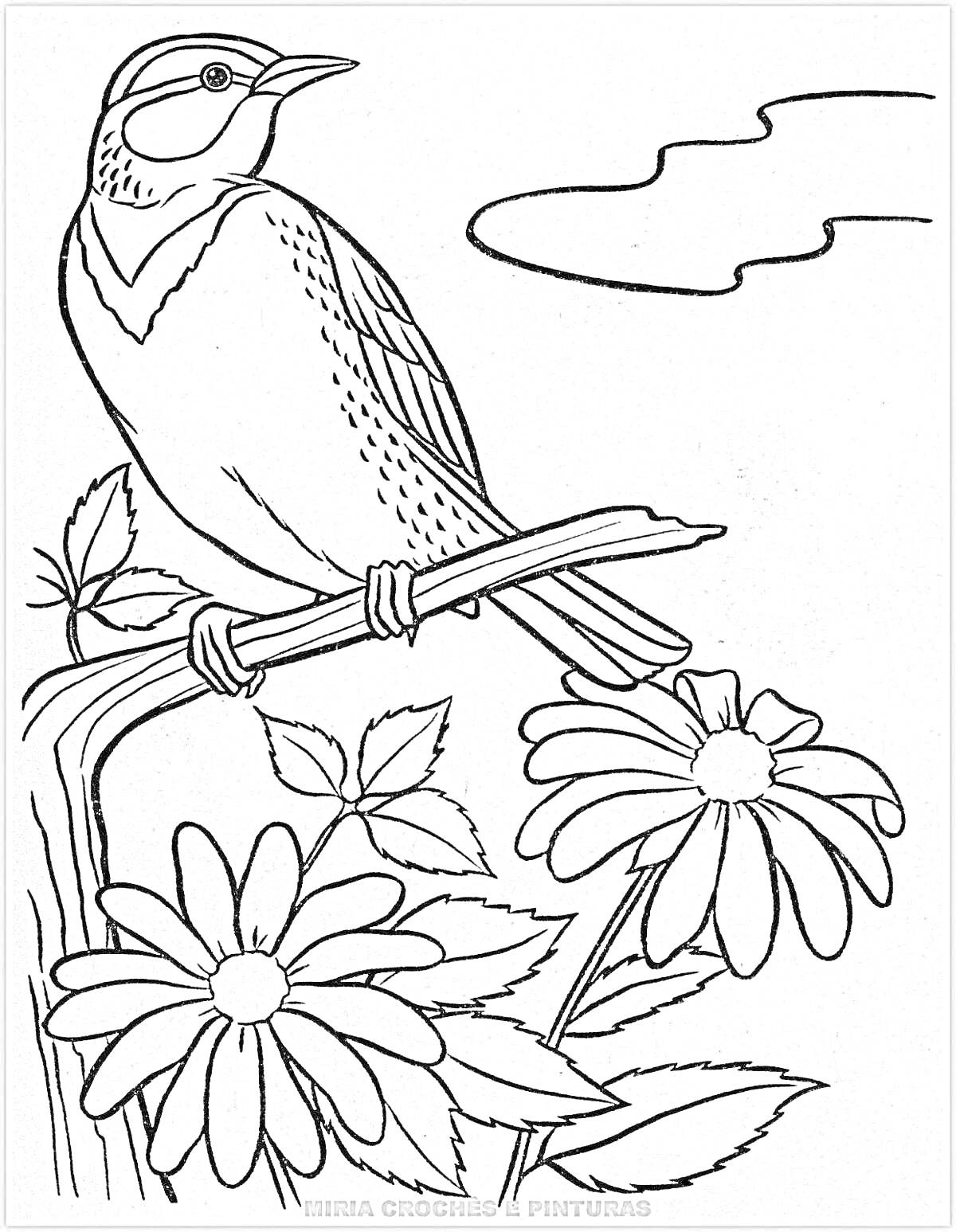 Раскраска Птица на ветке с двумя большими цветами ромашки и облаками на заднем плане.