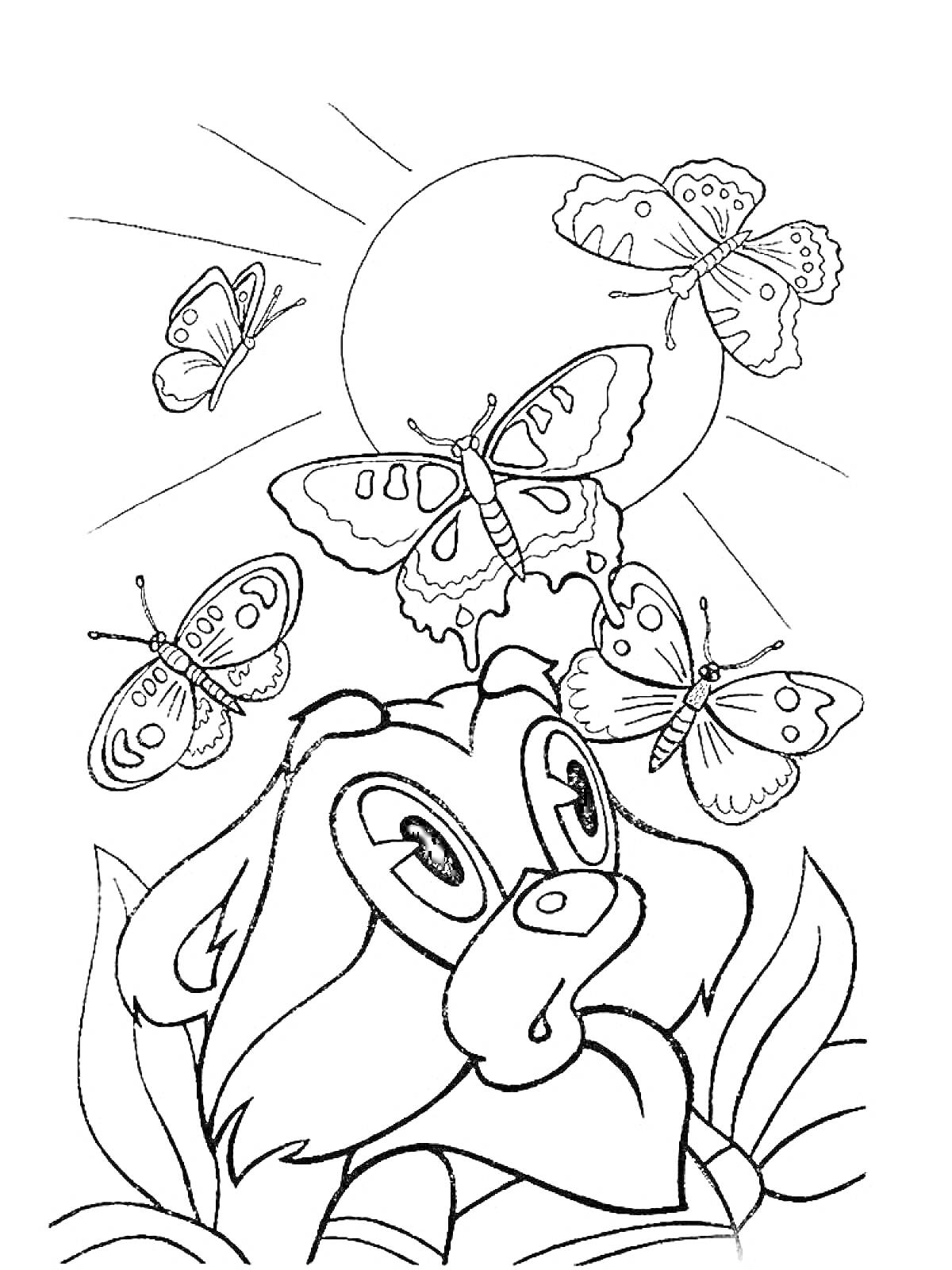 На раскраске изображено: Крошка енот, Солнце, Природа, Для детей, Бабочка