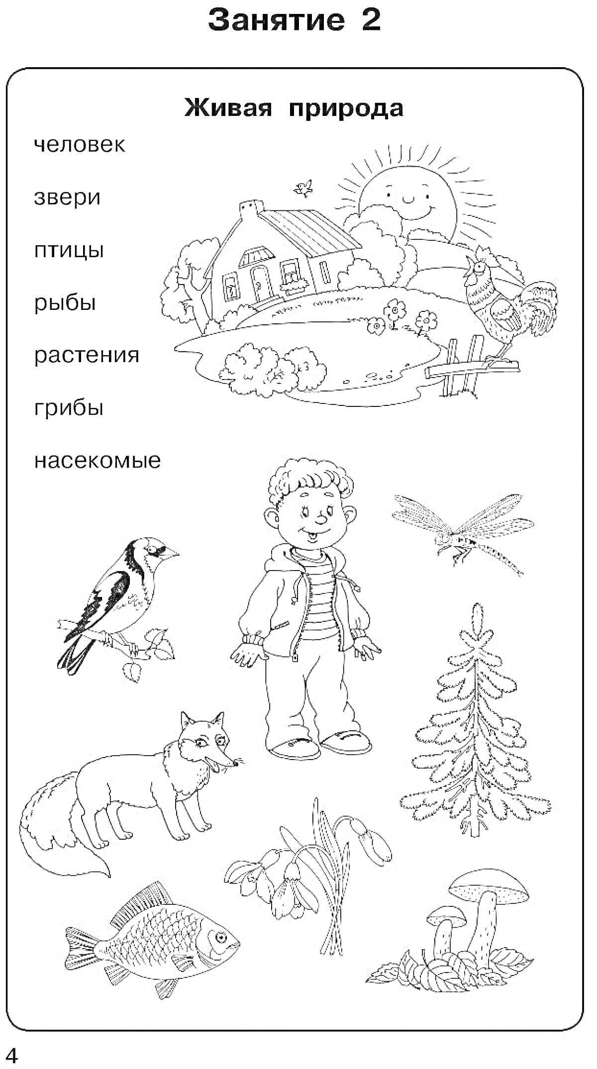 РаскраскаЧеловек, звери, птицы, рыбы, растения, грибы, насекомые на природе