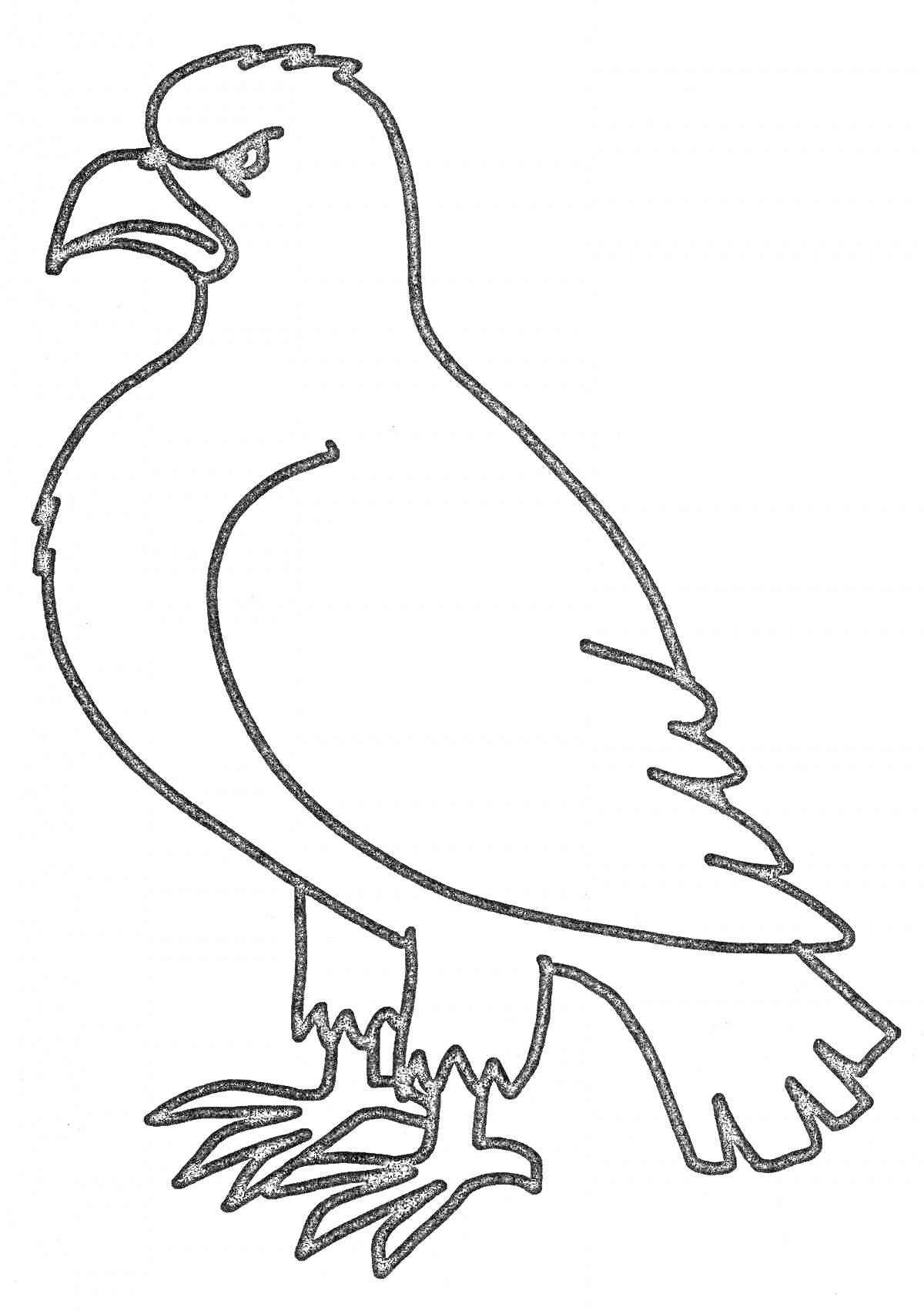 Раскраска Грозный орёл с сердитым выражением