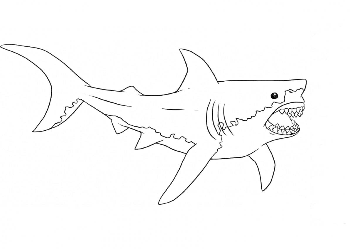 Раскраска мегалодон с раскрытой пастью