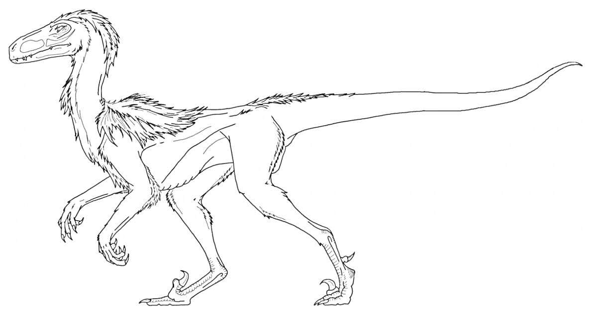 Раскраска Раскраска с динозавром дейнонихом