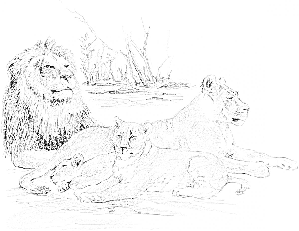 На раскраске изображено: Лев, Львята, Семья, Природа, Деревья, Животные, Хищники