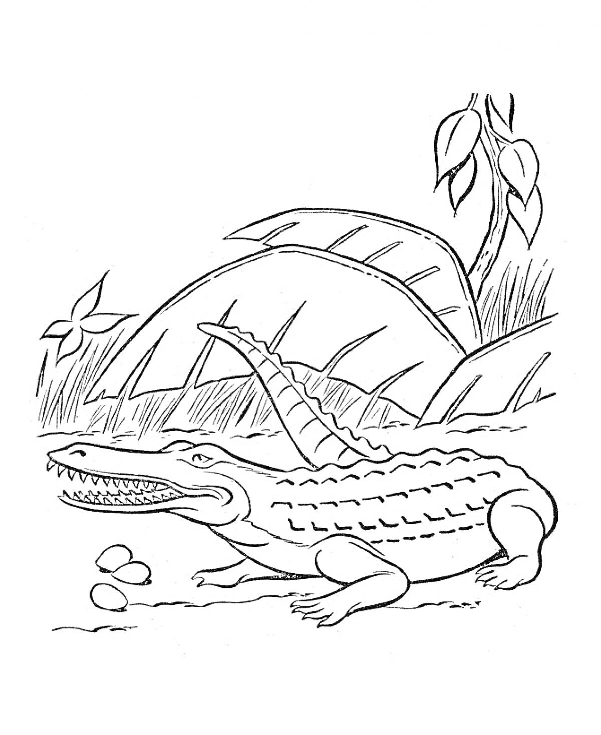 Раскраска Крокодил на берегу с яйцами, растениями и деревом