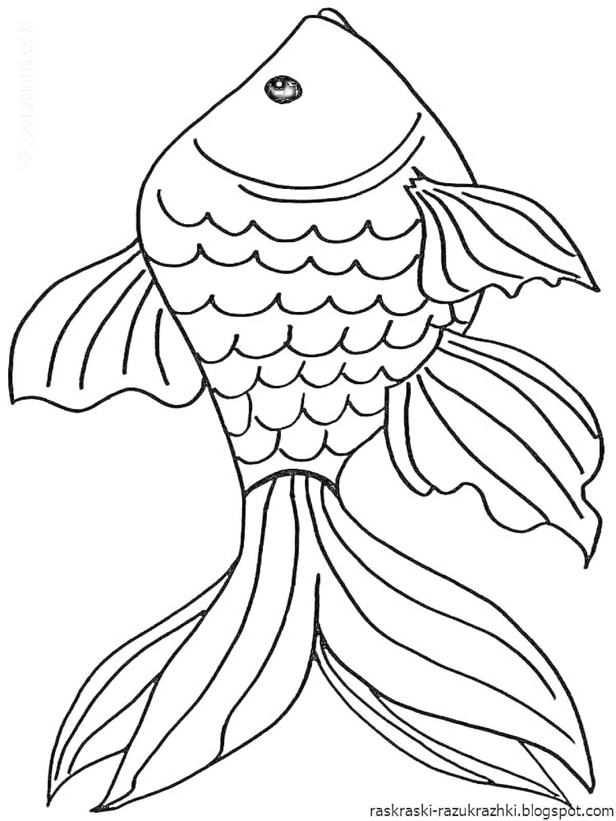 На раскраске изображено: Золотая рыбка, Рыба, Чешуя, Плавники, Хвост