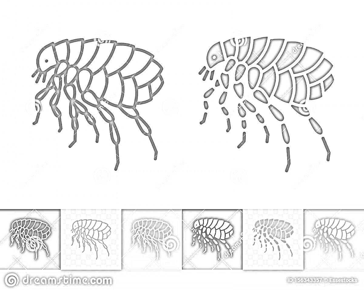Раскраска Варианты раскраски блохи - контур и заливка, черно-белые изображения блохи на сером, белом и прозрачном фоне