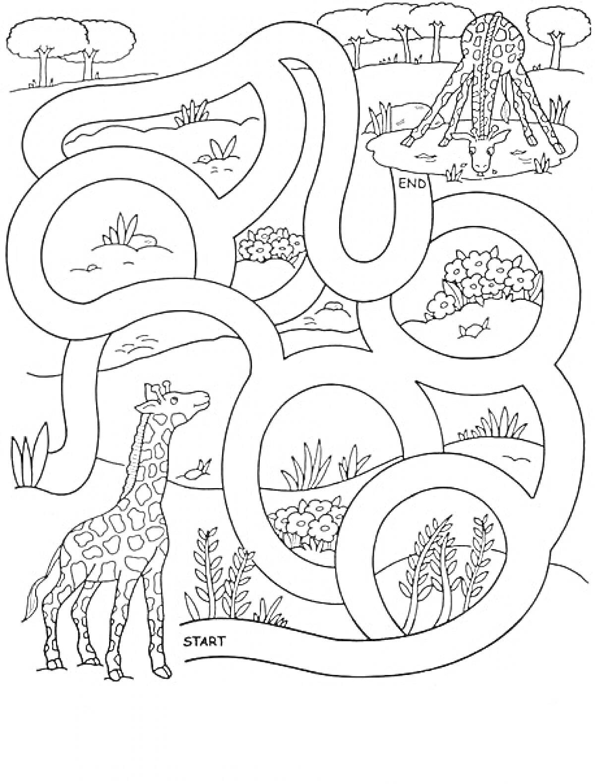 Раскраска Лабиринт с жирафами, кустами, цветами и лужайками