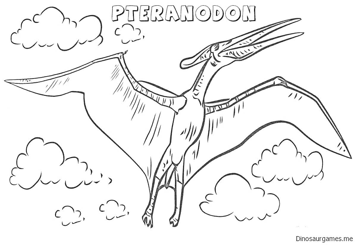На раскраске изображено: Птеранодон, Динозавр, Летающий динозавр, Облака