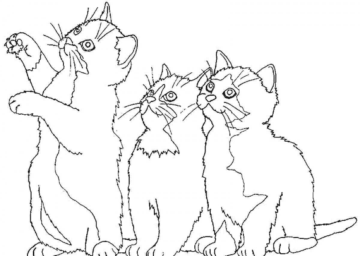 Раскраска Три котёнка — один котёнок стоит, подняв переднюю лапу, два других сидят рядом
