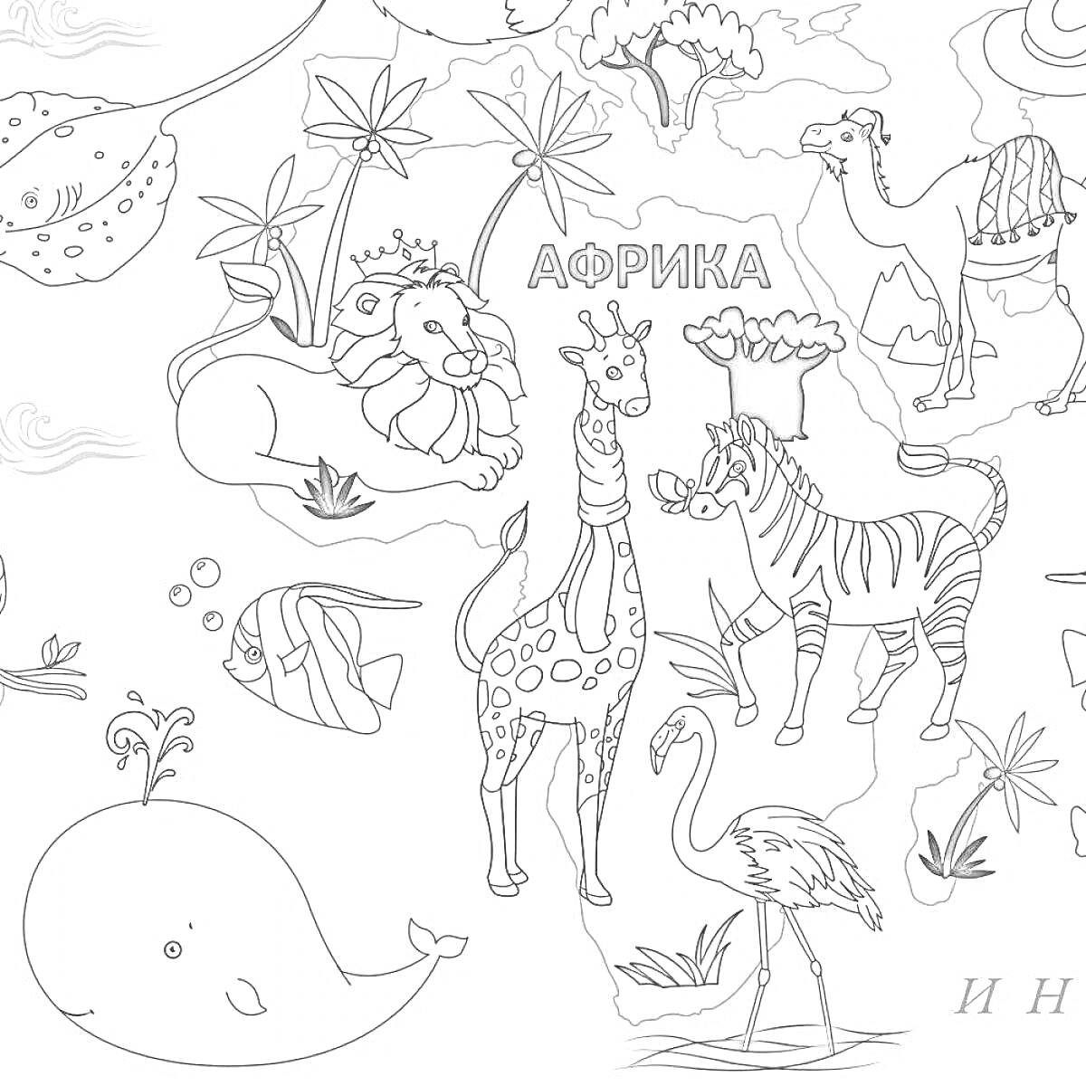 На раскраске изображено: Африка, Животные, Лев, Рыба, Фламинго, Верблюд, Пальмы, Баобаб