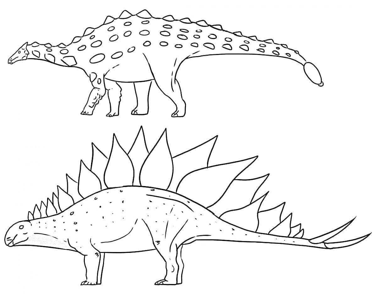На раскраске изображено: Стегозавр, Динозавр, Пластины, Учеба