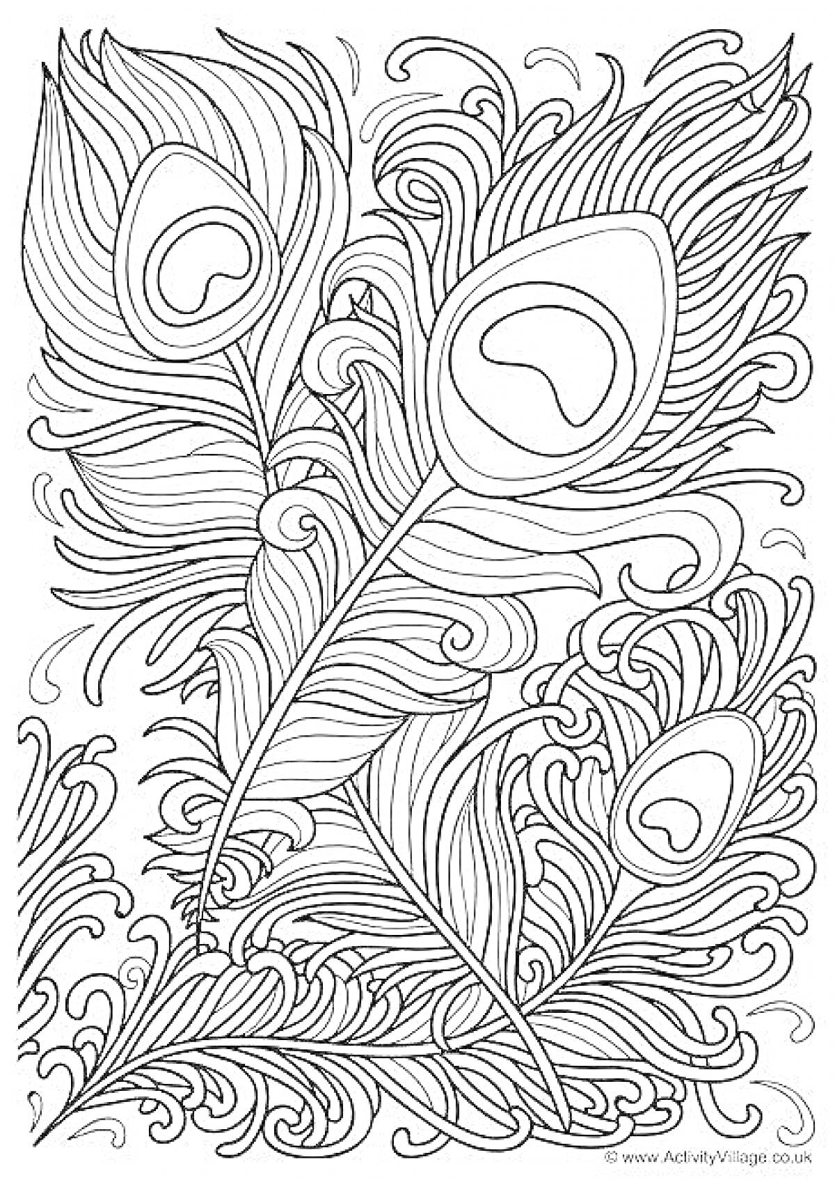 Раскраска Раскраска с тремя павлиньими перьями и декоративными узорами