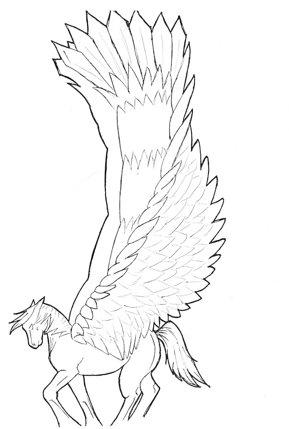 Раскраска Лошадка с крыльями, стоящая на задних ногах, с высоко поднятыми большими крыльями