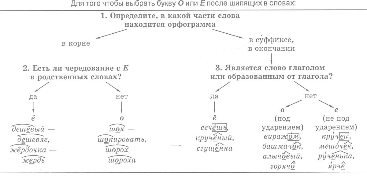 Раскраска Правописание существительных с шипящей на конце